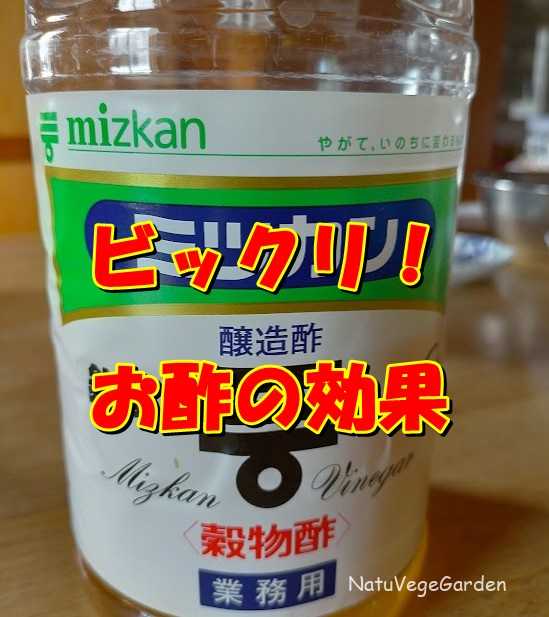 お酢の効果とは 現代農業 年9月号の記事まとめ 自然農 Natuvege Garden お酢の効果とは 現代農業 年9月号の記事まとめ 自然農 Natuvege Garden